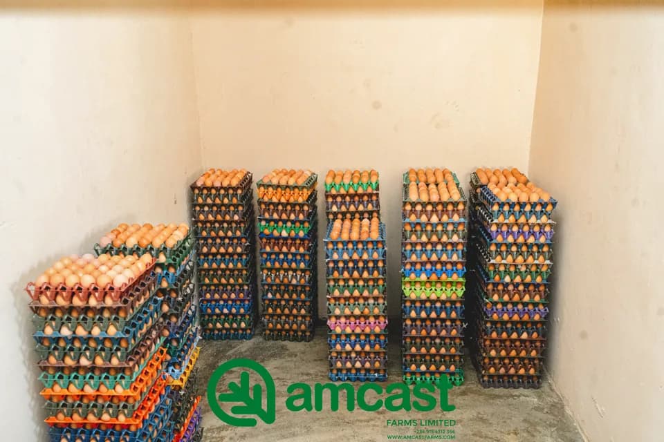 Amcast Farms
